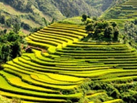 voyage au Vietnam