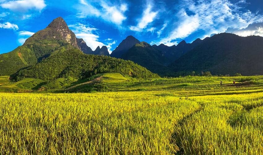 Parc national de Hoang Lien