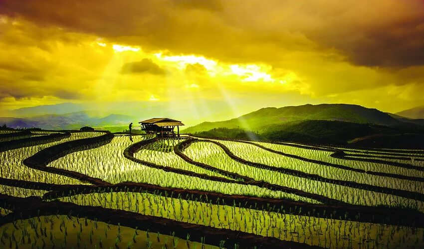 Sapa au printemps