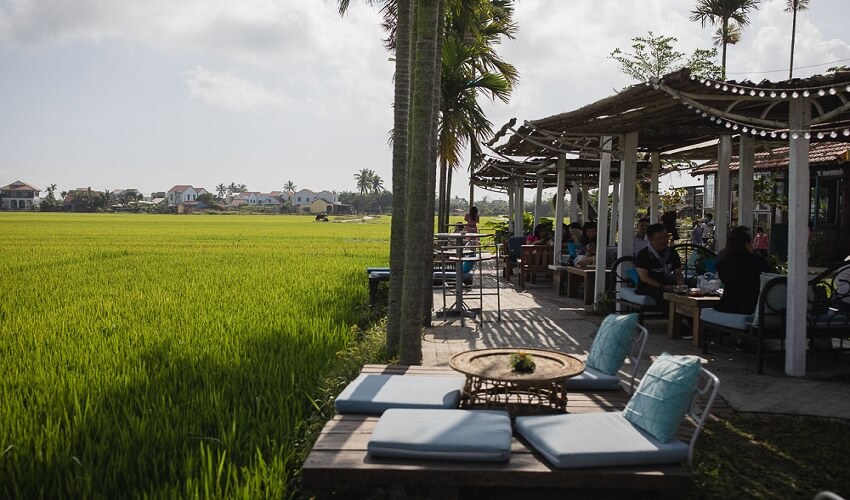 Restaurant vue directement sur le champs