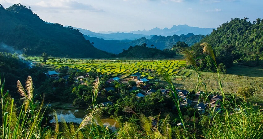 Réserve naturelle de Pu Luong