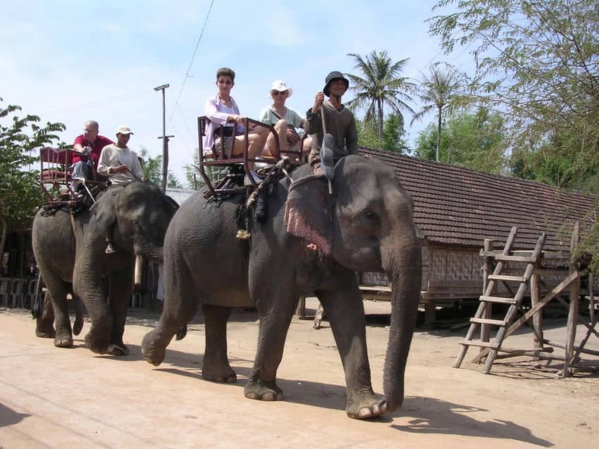 Balades-a-dos-d-elephants