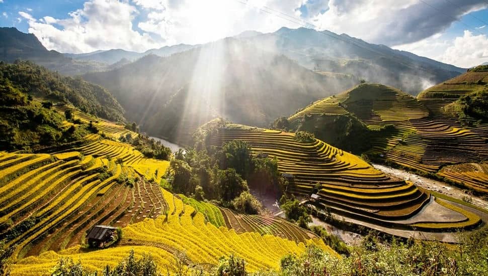 Mu_Cang_Chai_en_saison_du_riz_mûr