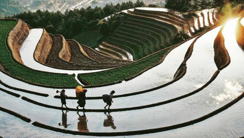 Mu_Cang_Chai_entre_mai_et_juin