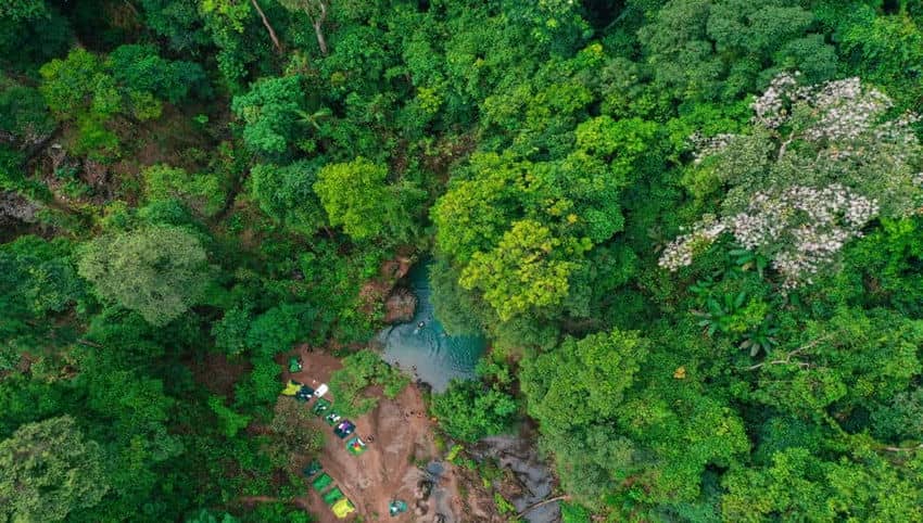 Le_jardin_botanique_de_Phong_Nha